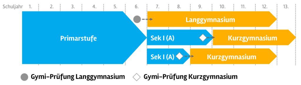 Langgymi Kurzgymi Unterschiede Langgymi Kurzgymi Unterschiede