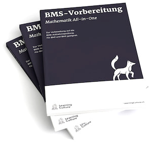 LearningCulture Lehrmittel BMS Mathematik LearningCulture Lehrmittel BMS Mathematik