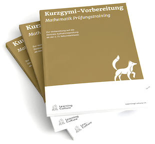 LearningCulture Kurzgymi Lehrmittel Mathematik